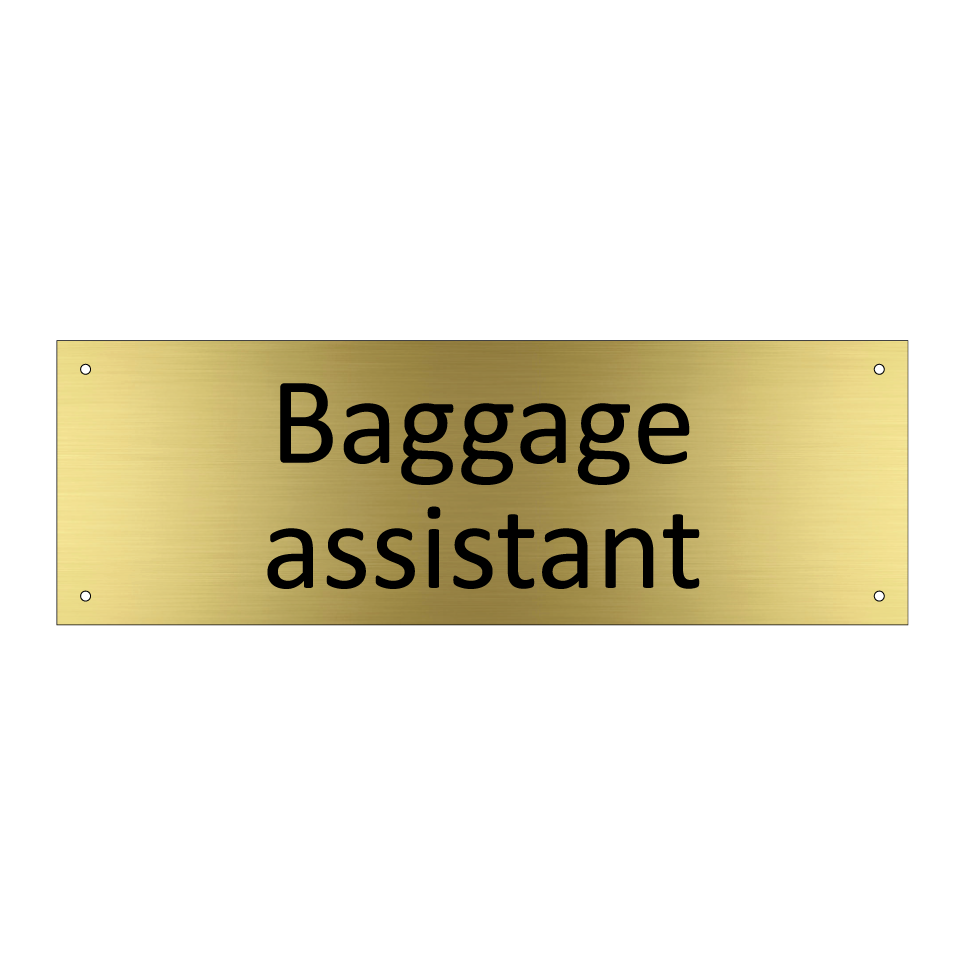 Baggage assistant