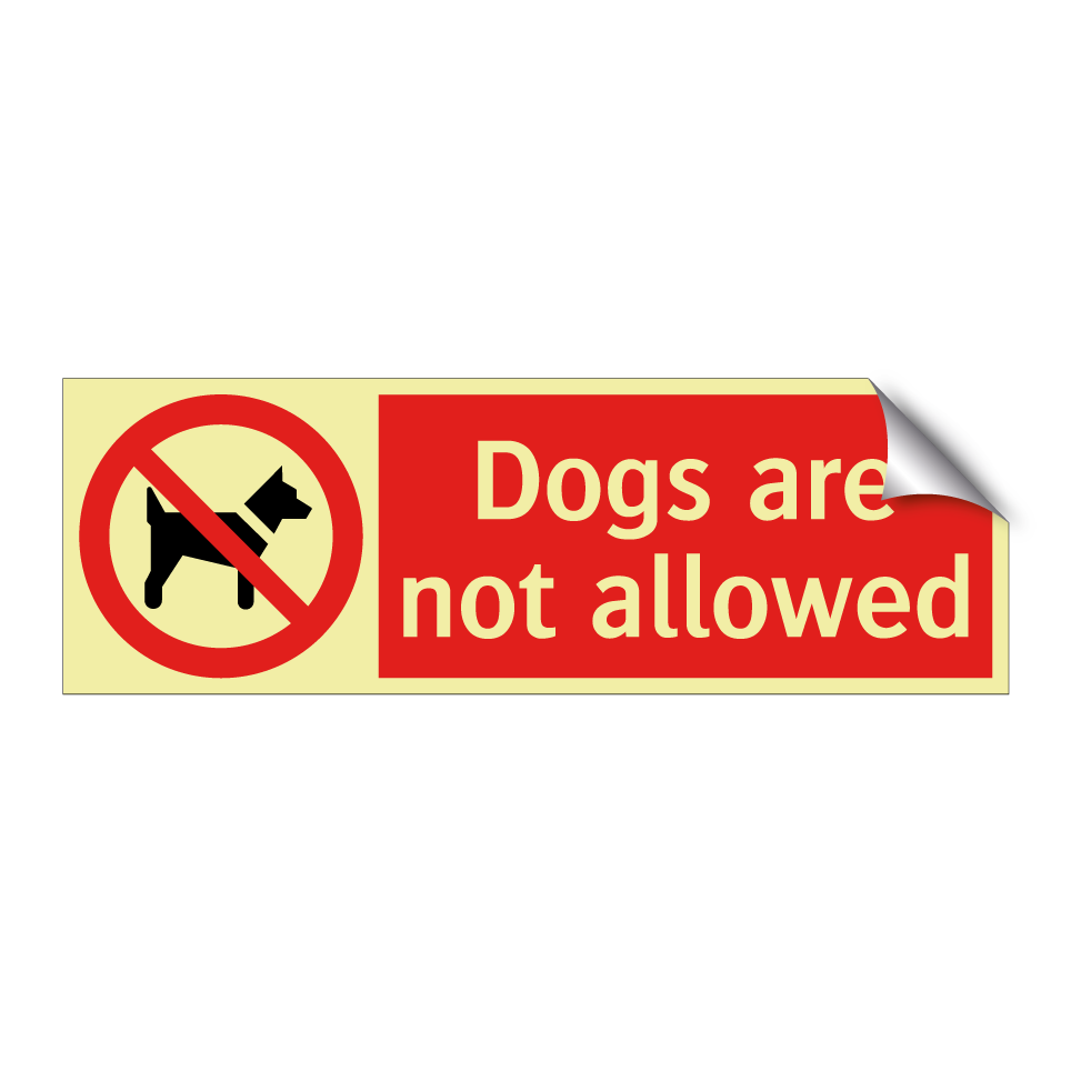 Dogs are not allowed