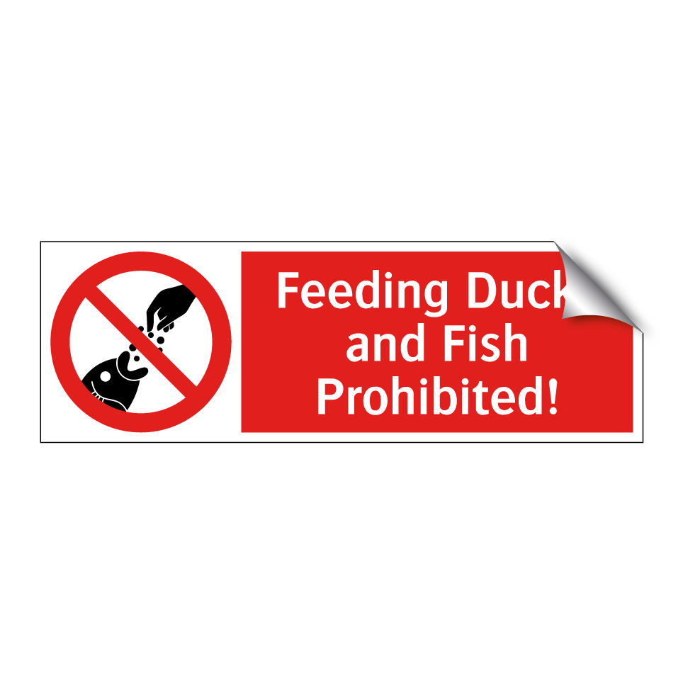 Feeding Ducks and Fish Prohibited!