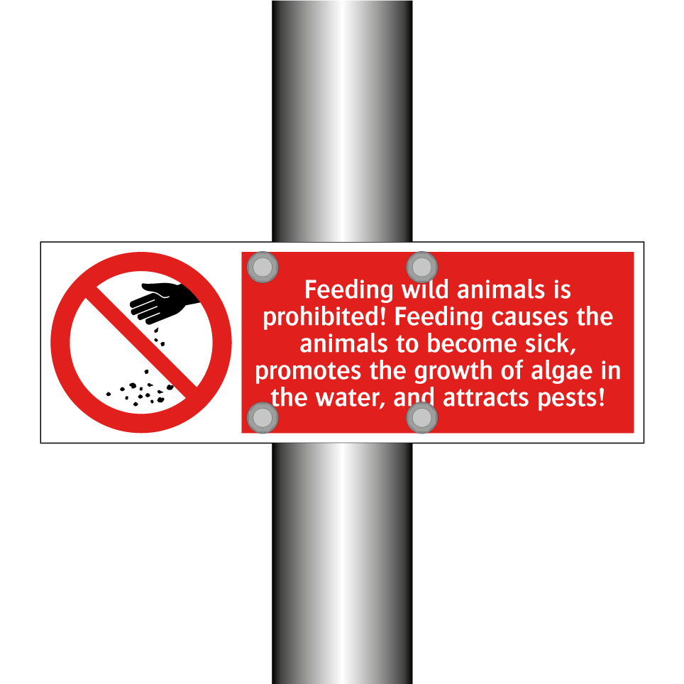 Feeding wild animals is prohibited! Feeding causes the animals to become sick, promotes the growth of algae in the water, and attracts pests!