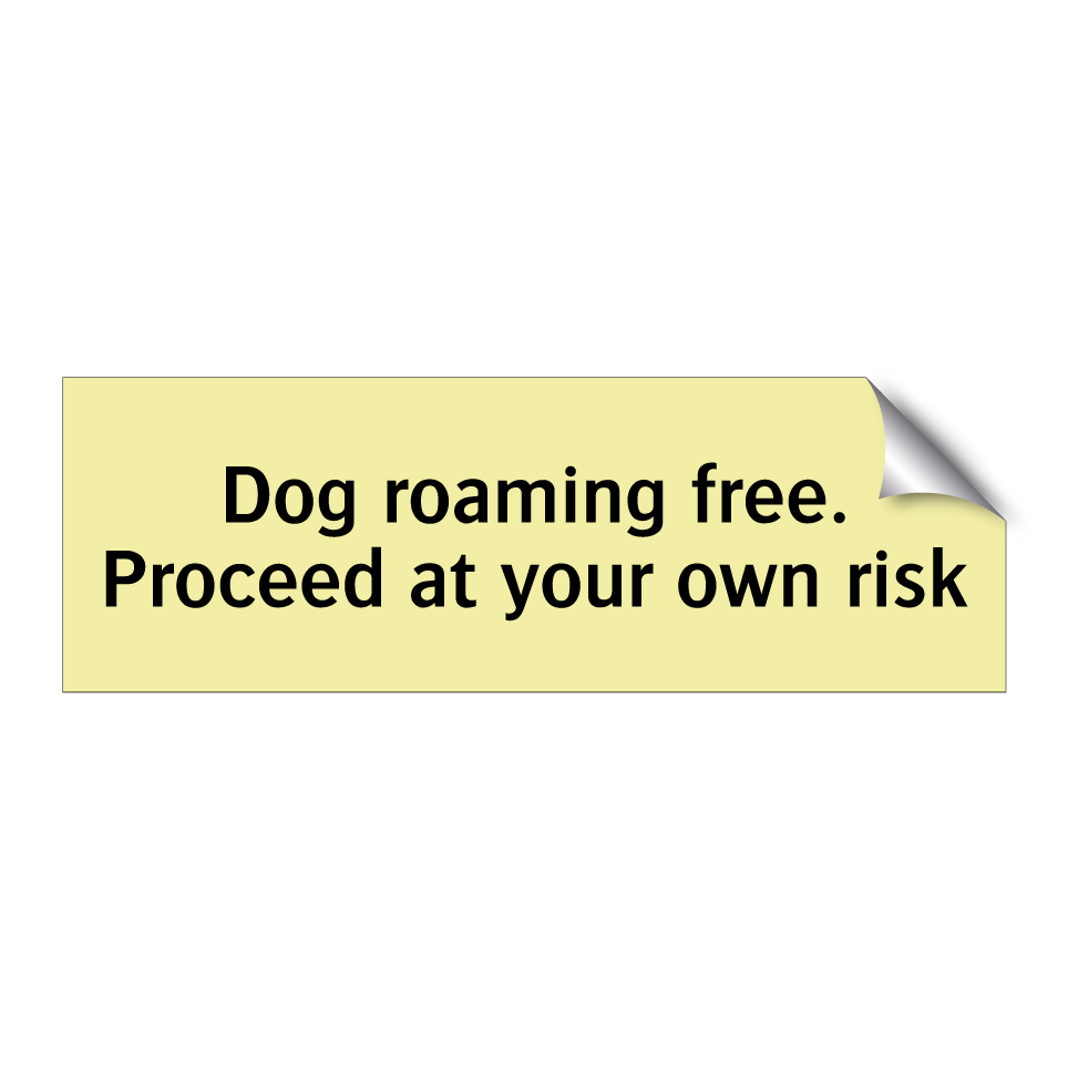 Dog roaming free. Proceed at your own risk