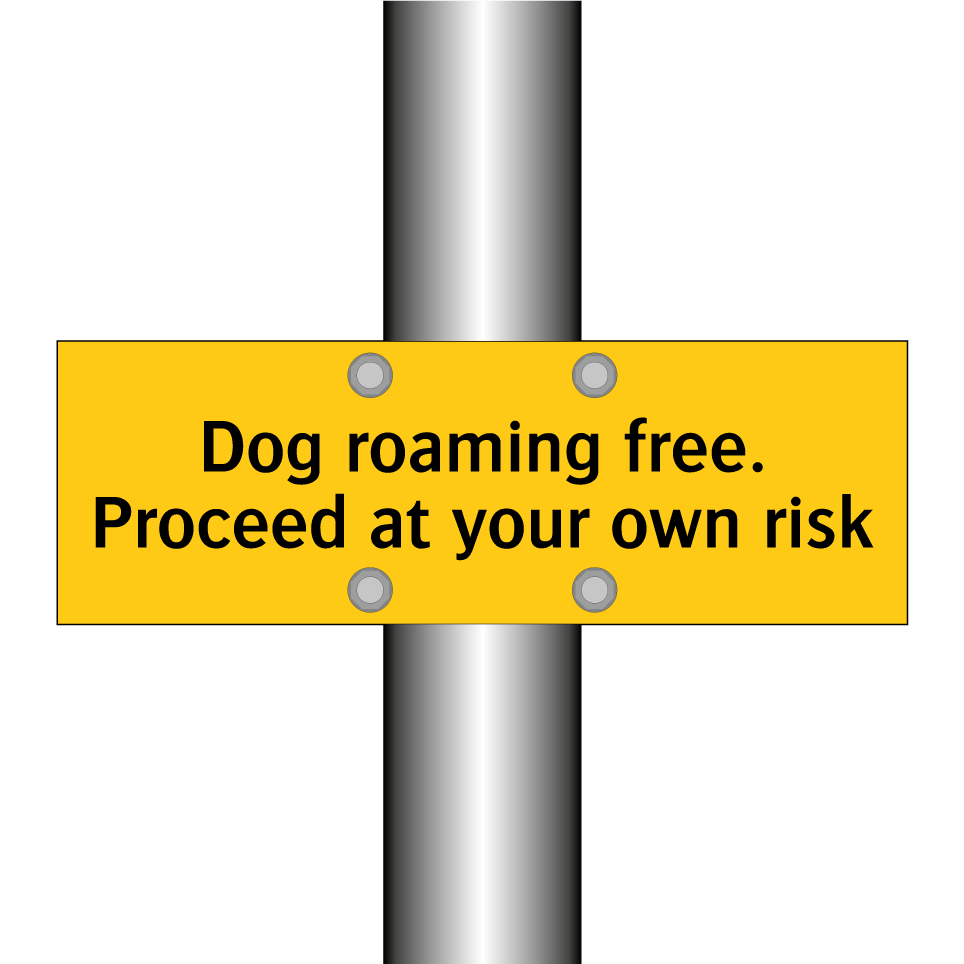 Dog roaming free. Proceed at your own risk