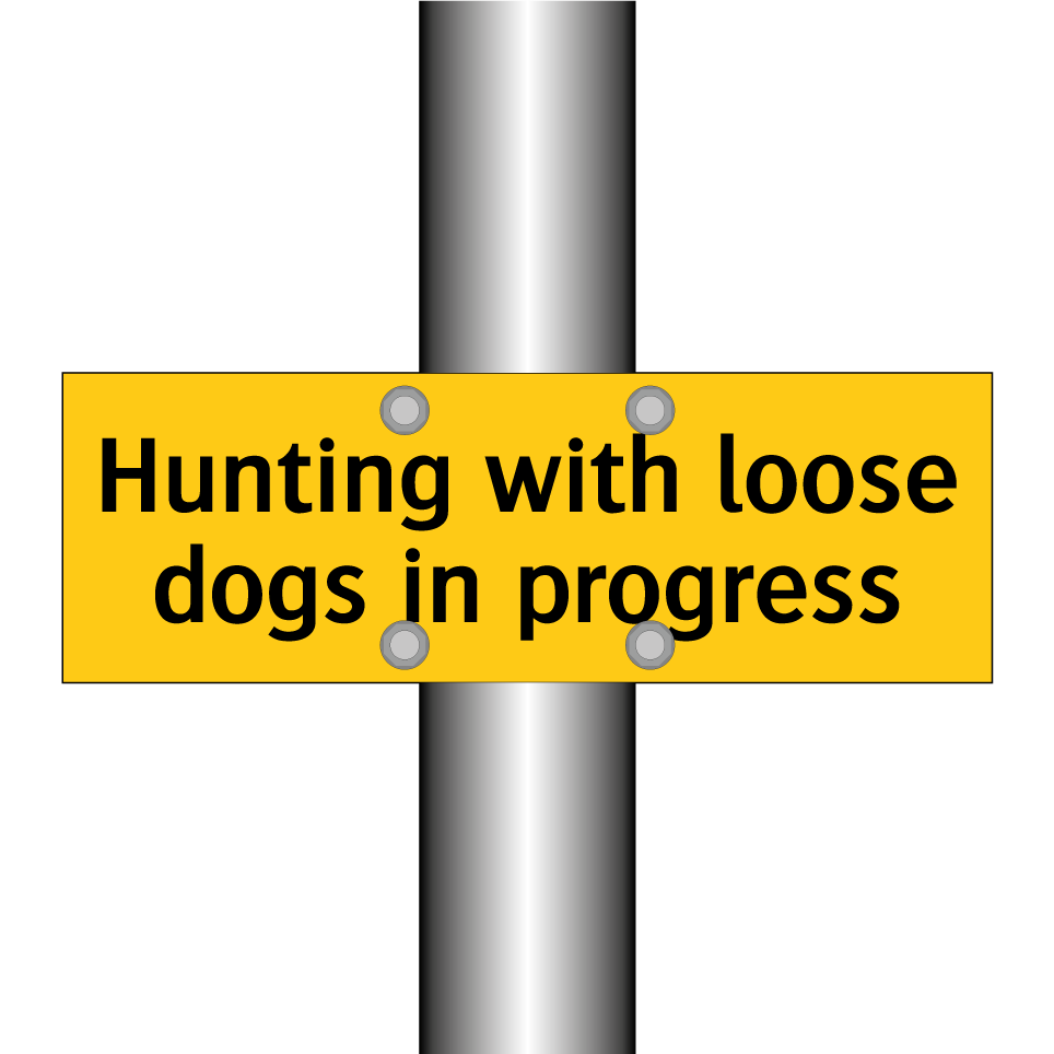 Hunting with loose dogs in progress