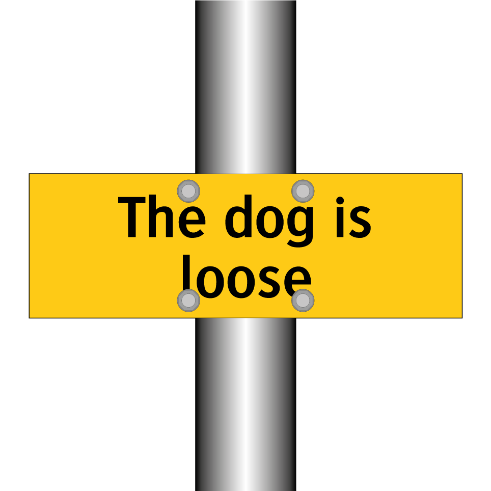 The dog is loose