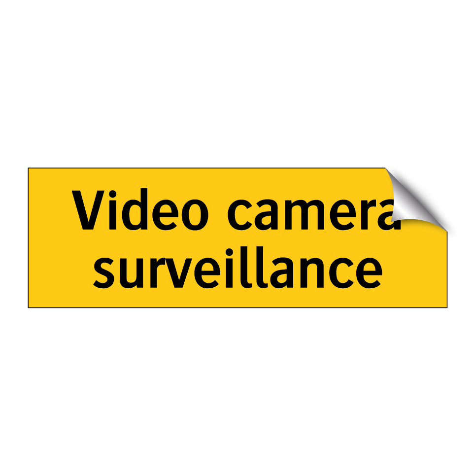 Video camera surveillance