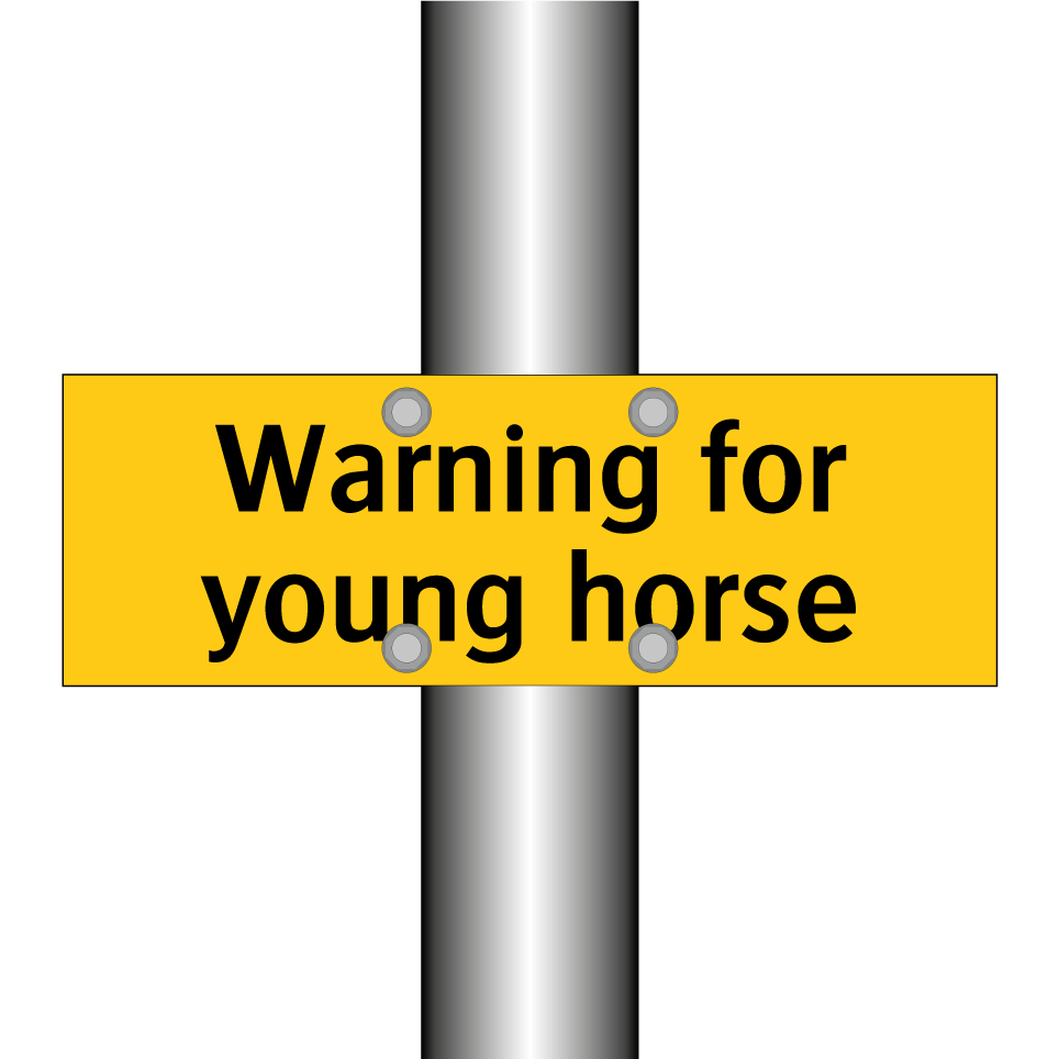 Warning for young horse