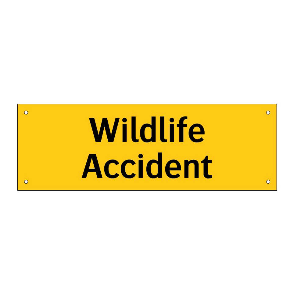 Wildlife Accident