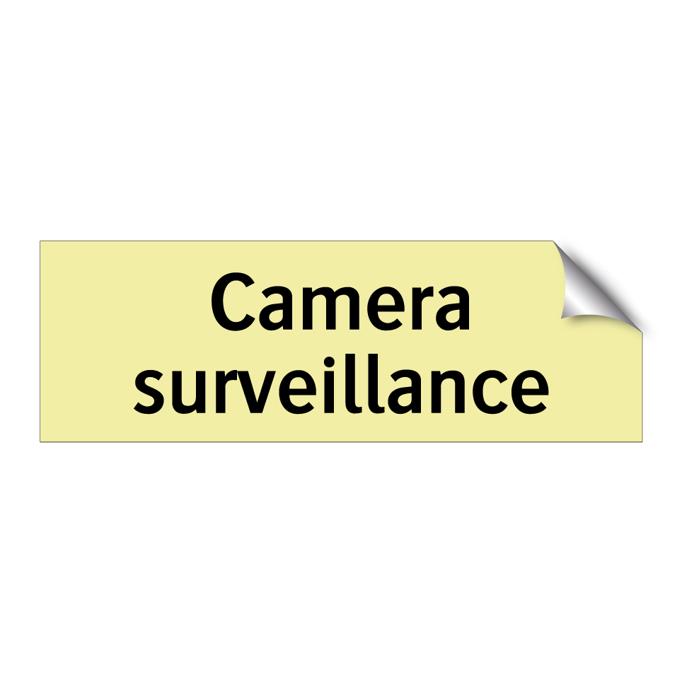 Camera surveillance