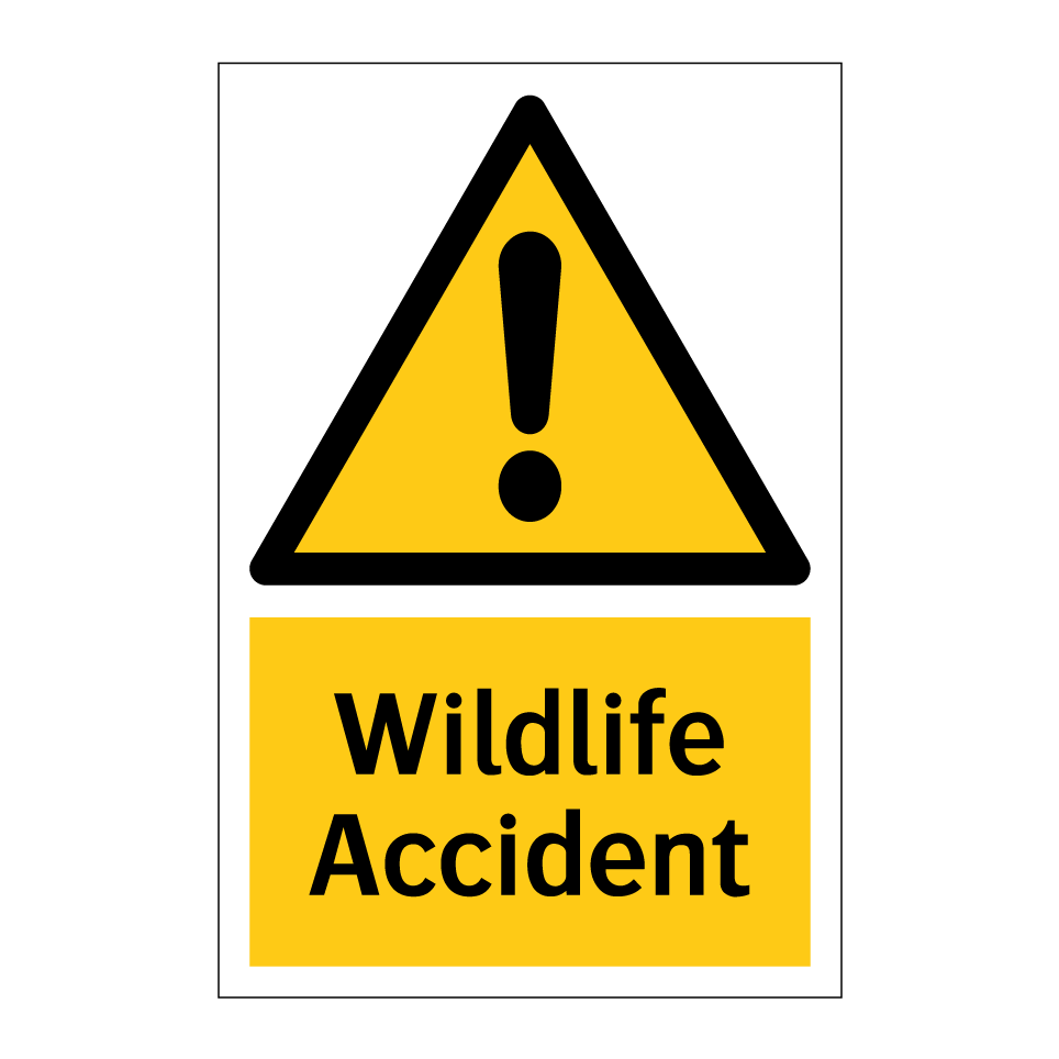 Wildlife Accident