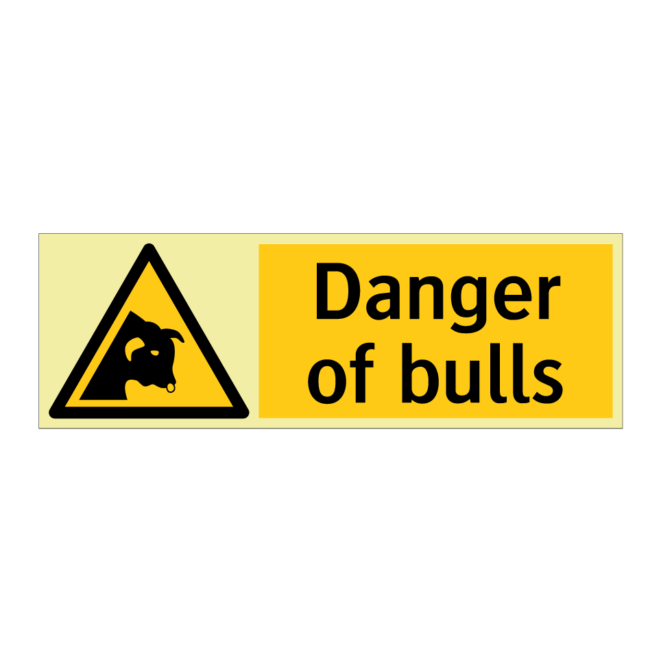 Danger of bulls