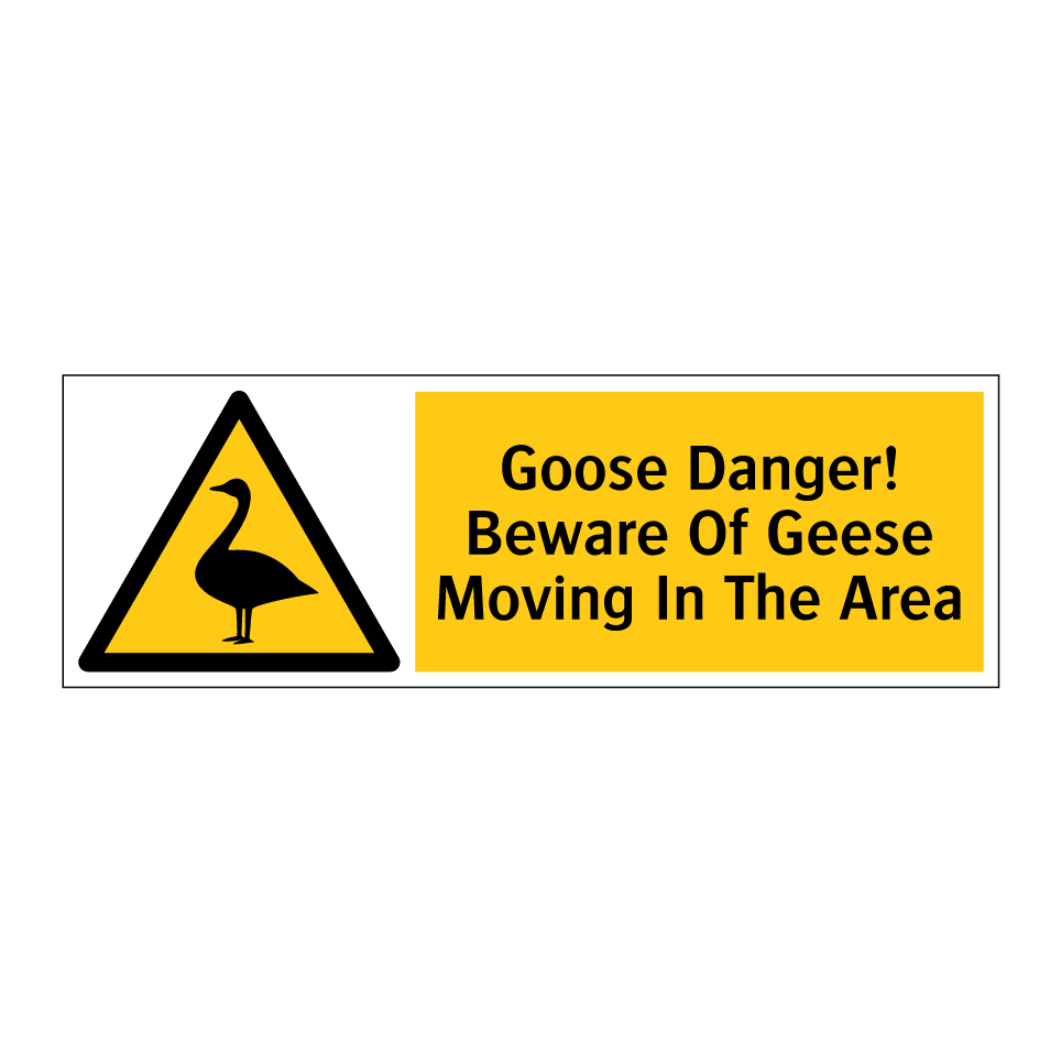 Goose Danger! Beware Of Geese Moving In The Area