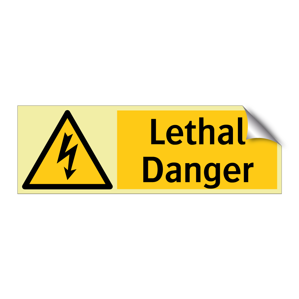 Lethal Danger