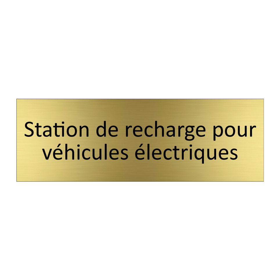 Station de recharge pour véhicules électriques