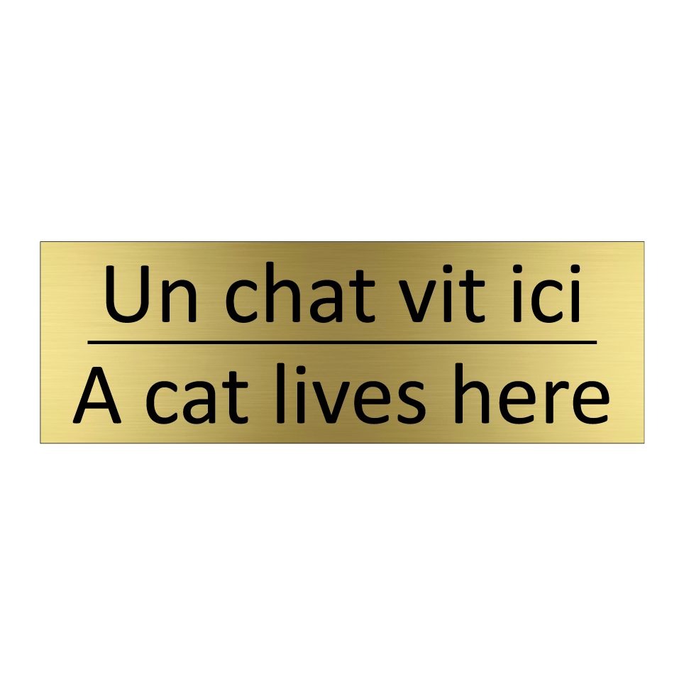 Un chat vit ici - A cat lives here
