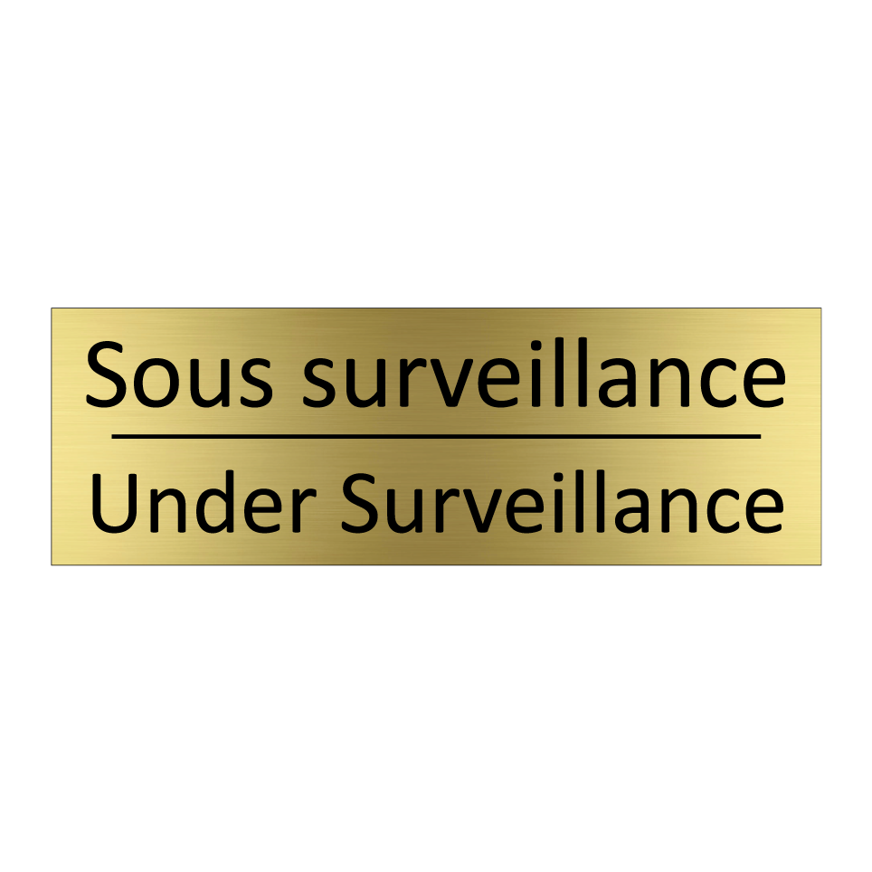 Sous surveillance - Under Surveillance