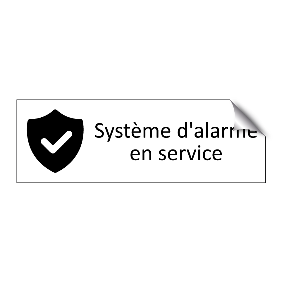 Système d'alarme en service