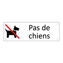 Pas de chiens