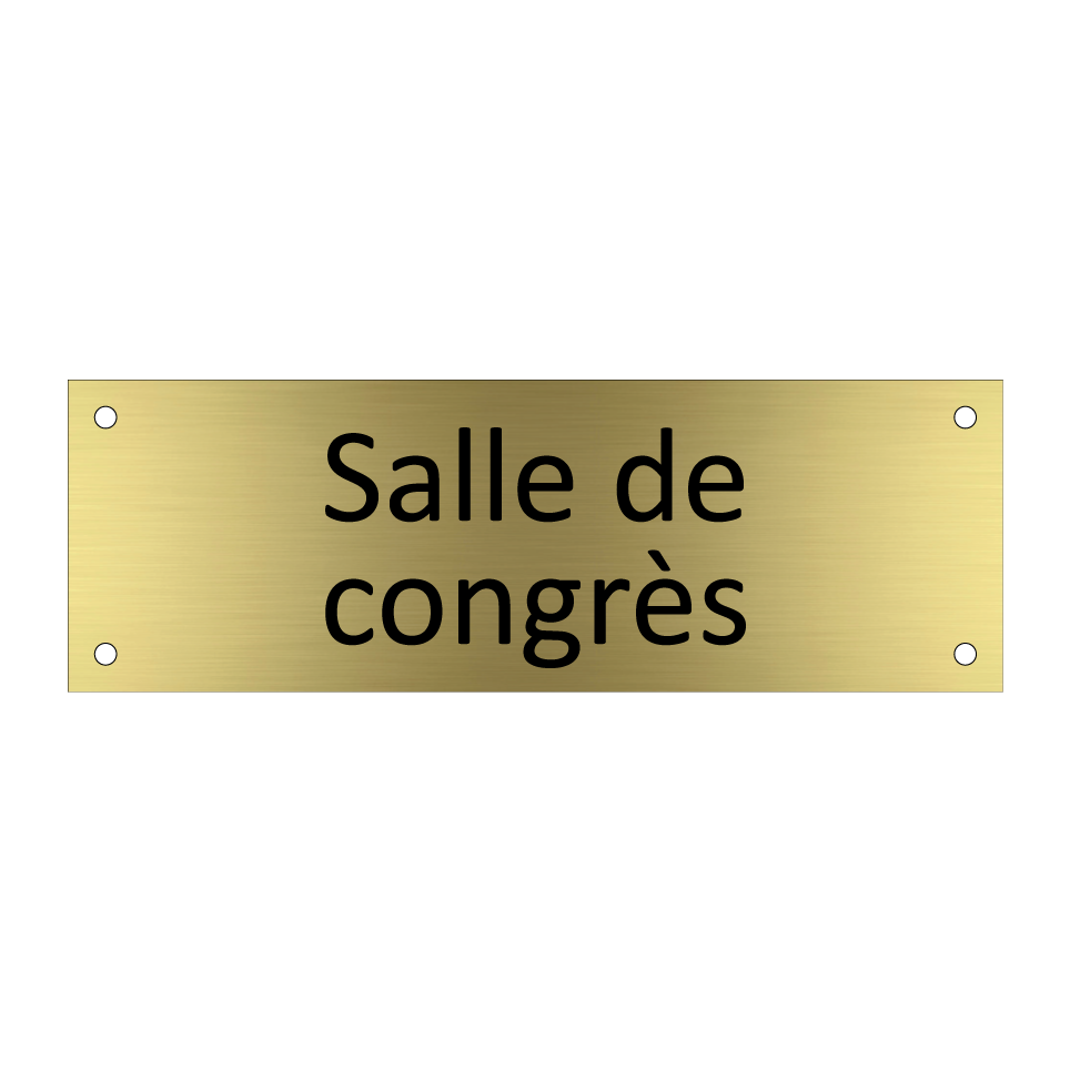 Salle de congrès