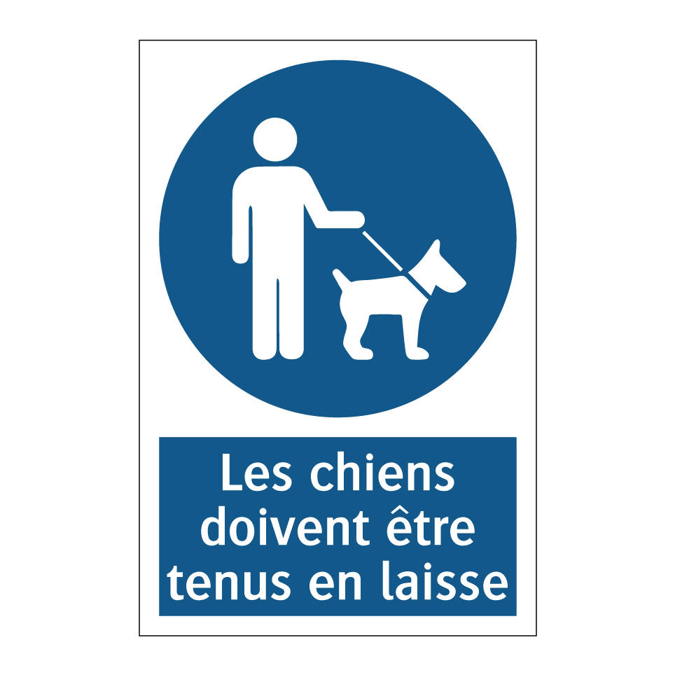 Les chiens doivent être tenus en laisse