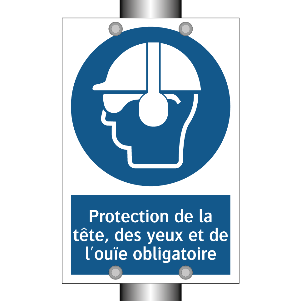 Protection de la tête, des yeux et de l'ouïe obligatoire