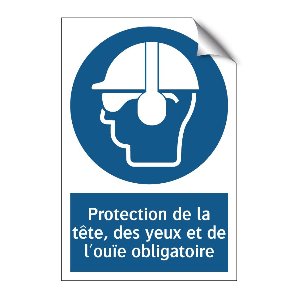 Protection de la tête, des yeux et de l'ouïe obligatoire