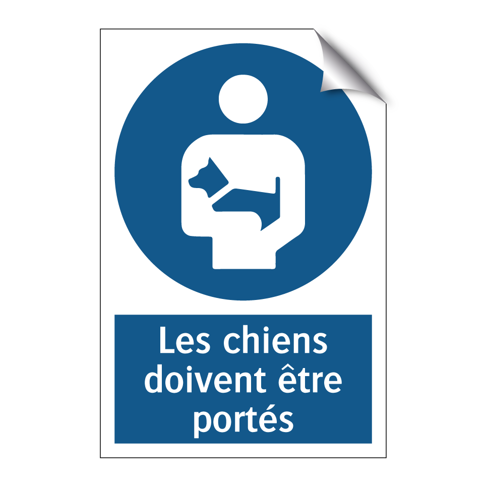 Les chiens doivent être portés