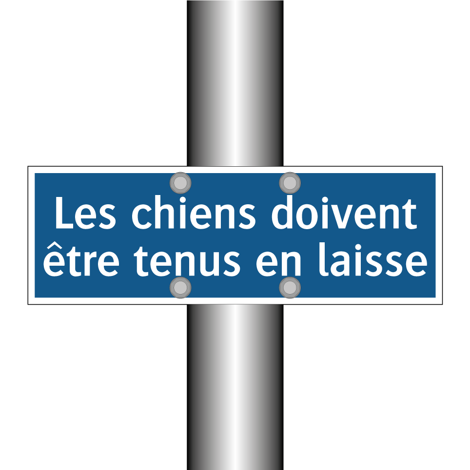 Les chiens doivent être tenus en laisse