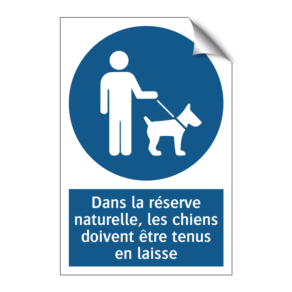 Dans la réserve naturelle, les chiens doivent être tenus en laisse