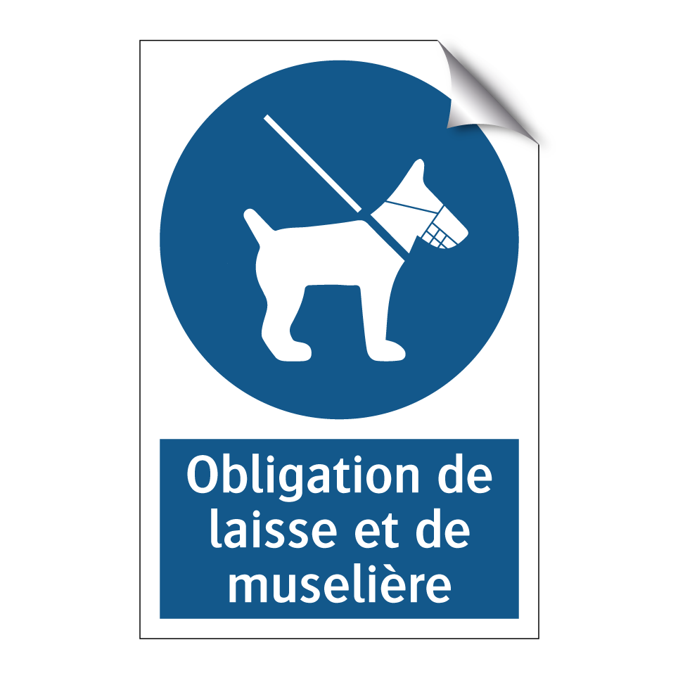 Obligation de laisse et de muselière
