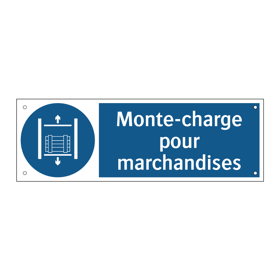 Monte-charge pour marchandises
