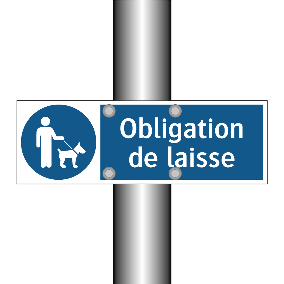 Obligation de laisse