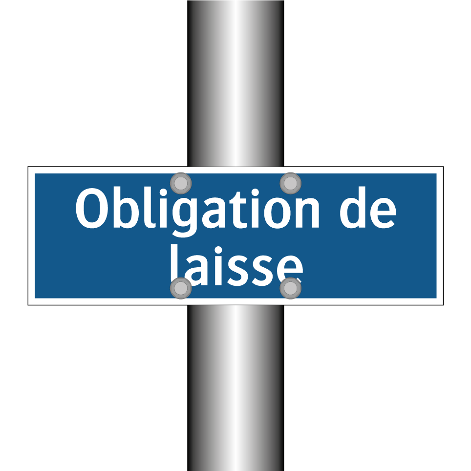 Obligation de laisse
