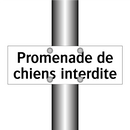 Promenade de chiens interdite