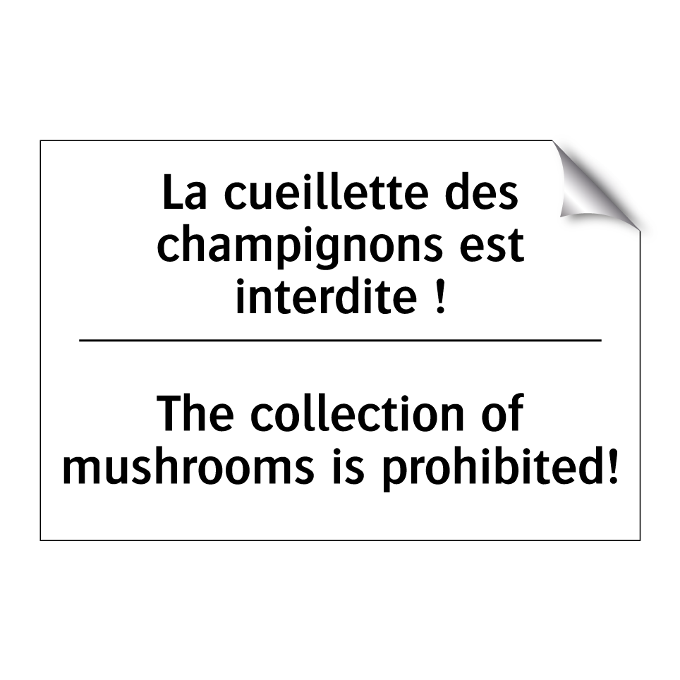 La cueillette des champignons /.../ - The collection of mushrooms is /.../
