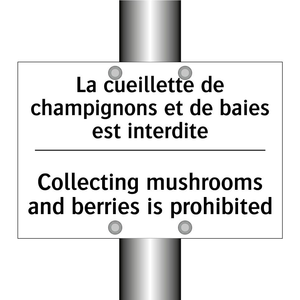 La cueillette de champignons et /.../ - Collecting mushrooms and berries /.../