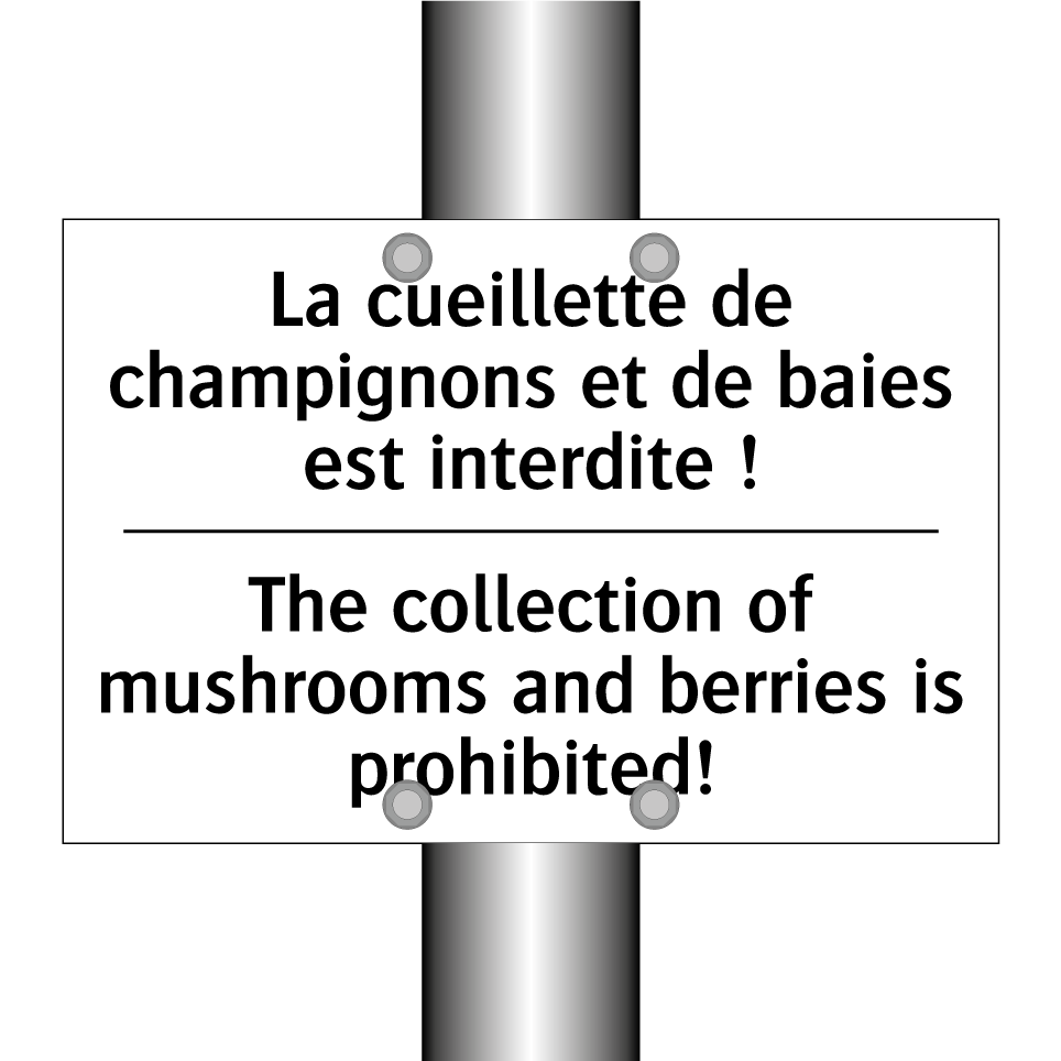 La cueillette de champignons et /.../ - The collection of mushrooms and /.../