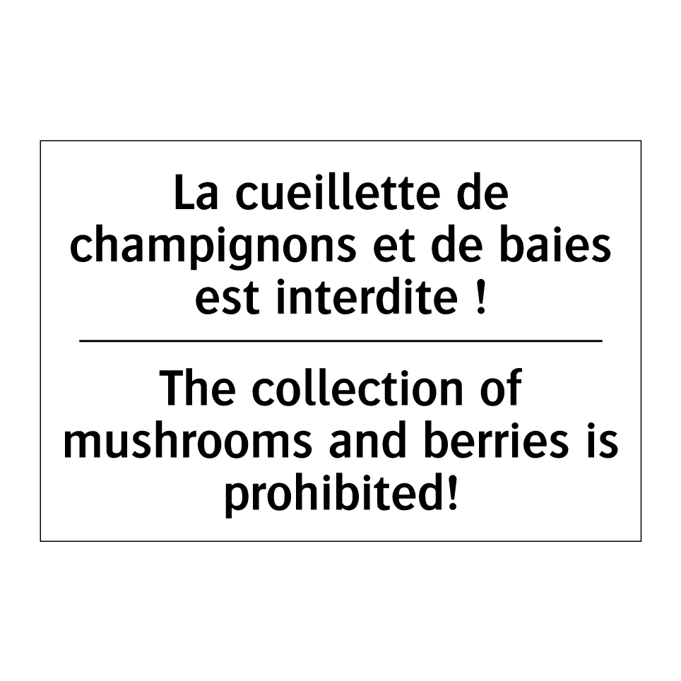 La cueillette de champignons et /.../ - The collection of mushrooms and /.../
