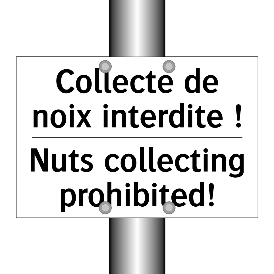 Collecte de noix interdite ! - Nuts collecting prohibited!