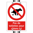 Pas de toilettes pour chiens ici