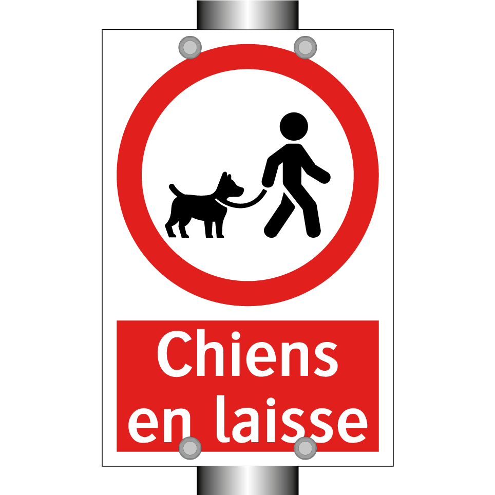 Chiens en laisse