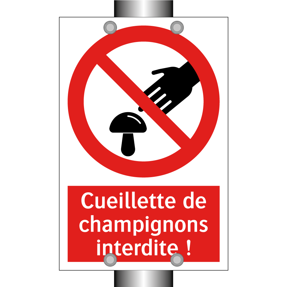 Cueillette de champignons interdite !