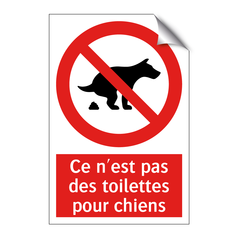 Ce n'est pas des toilettes pour chiens