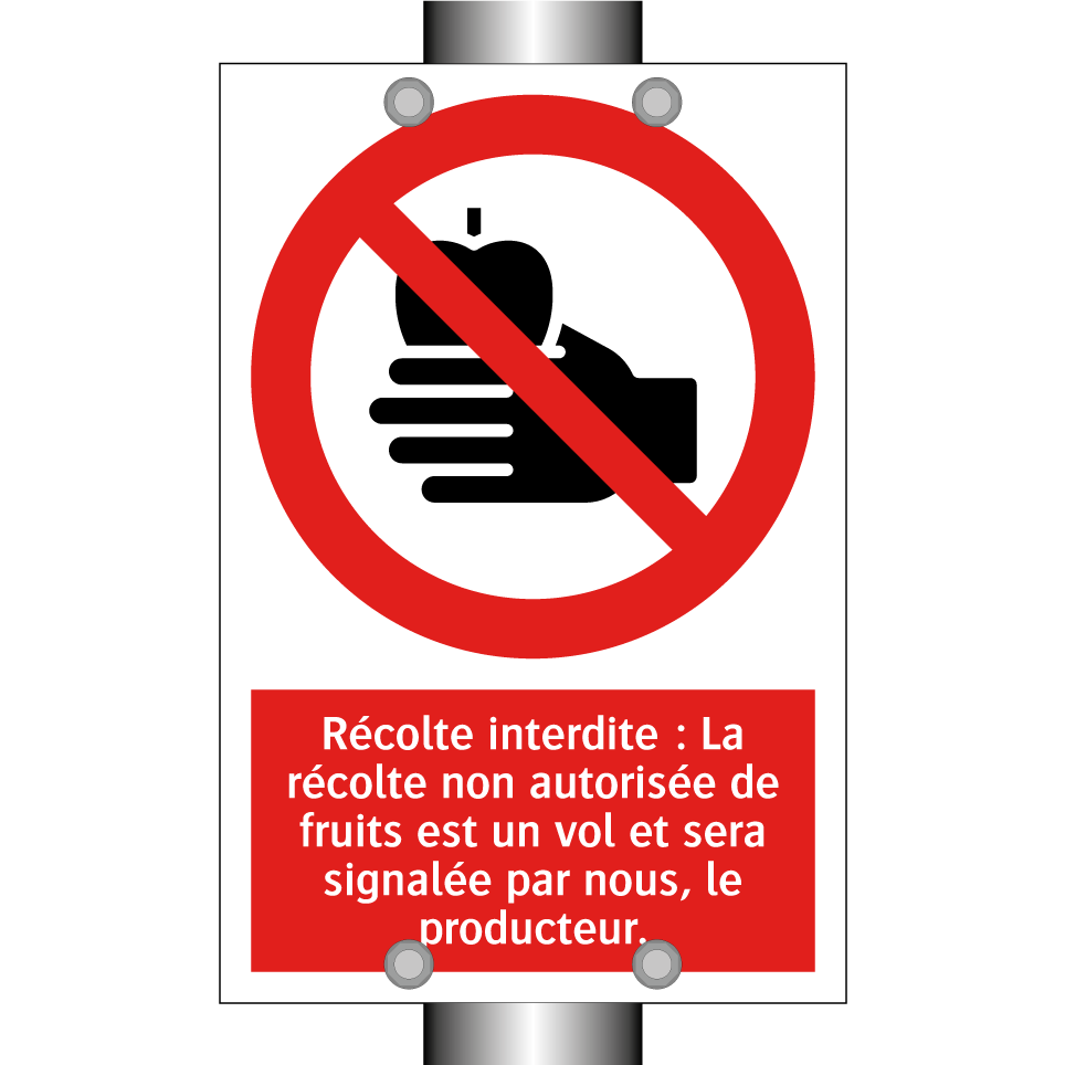 Récolte interdite : La récolte non autorisée de fruits est un vol et sera signalée par nous, le producteur.