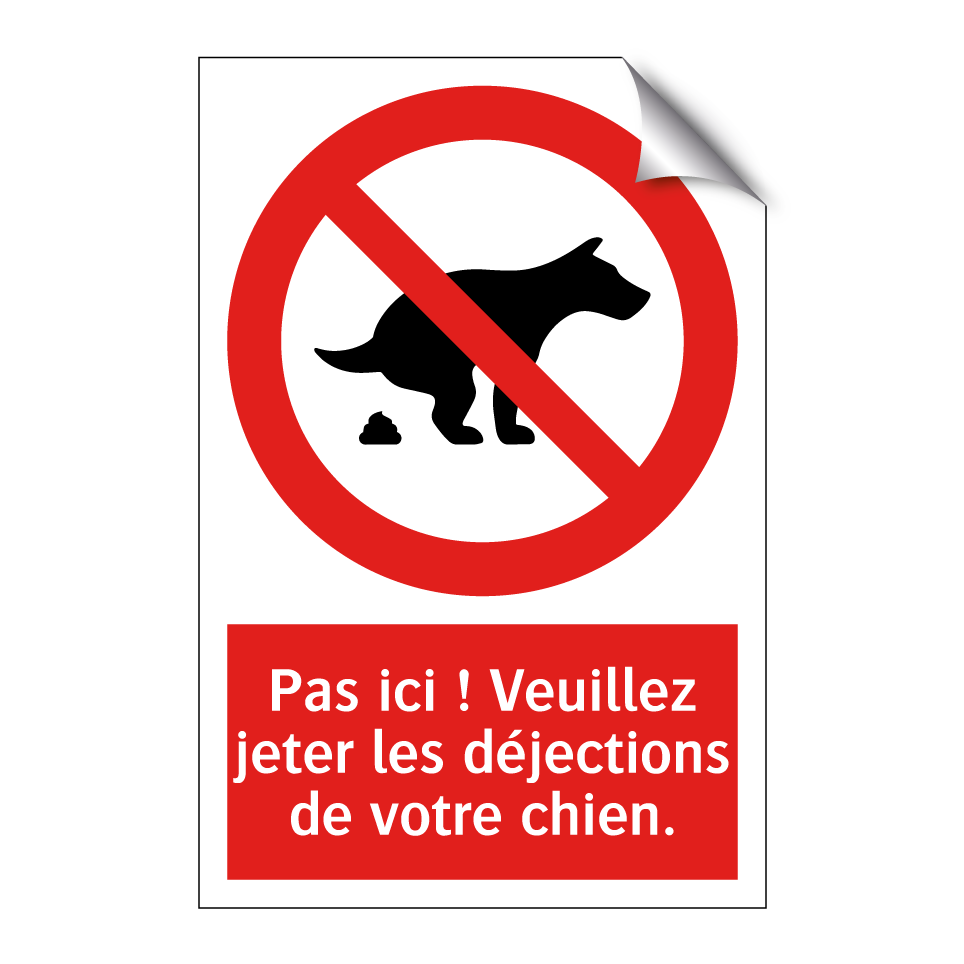 Pas ici ! Veuillez jeter les déjections de votre chien.