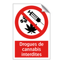 Drogues de cannabis interdites