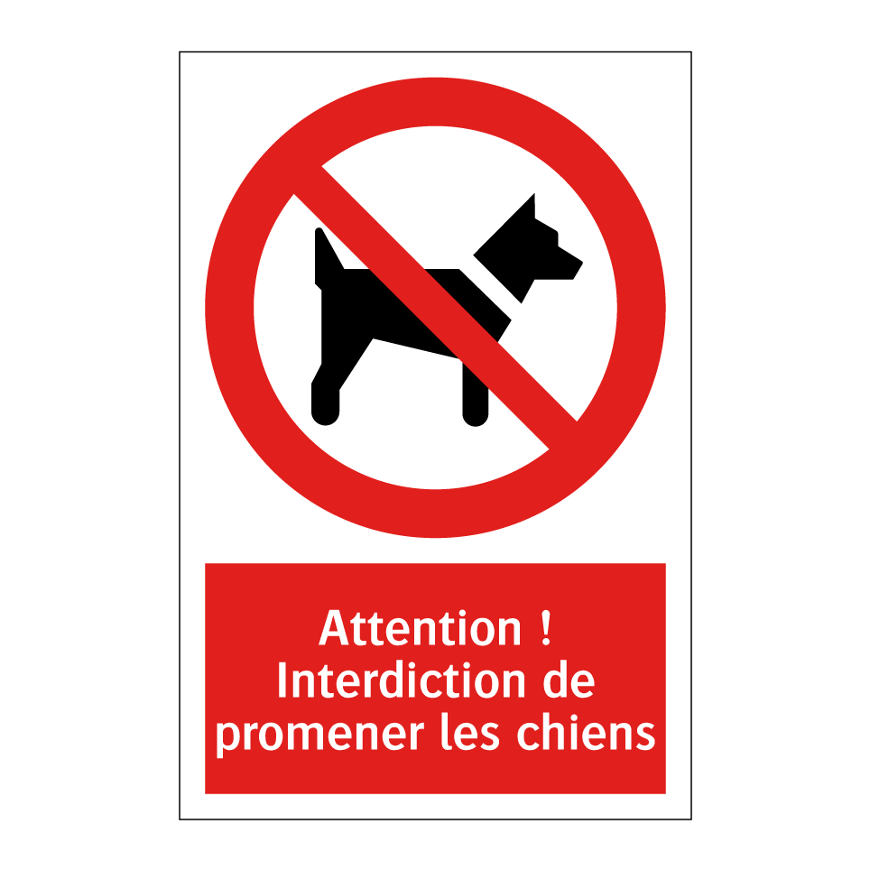 Attention ! Interdiction de promener les chiens