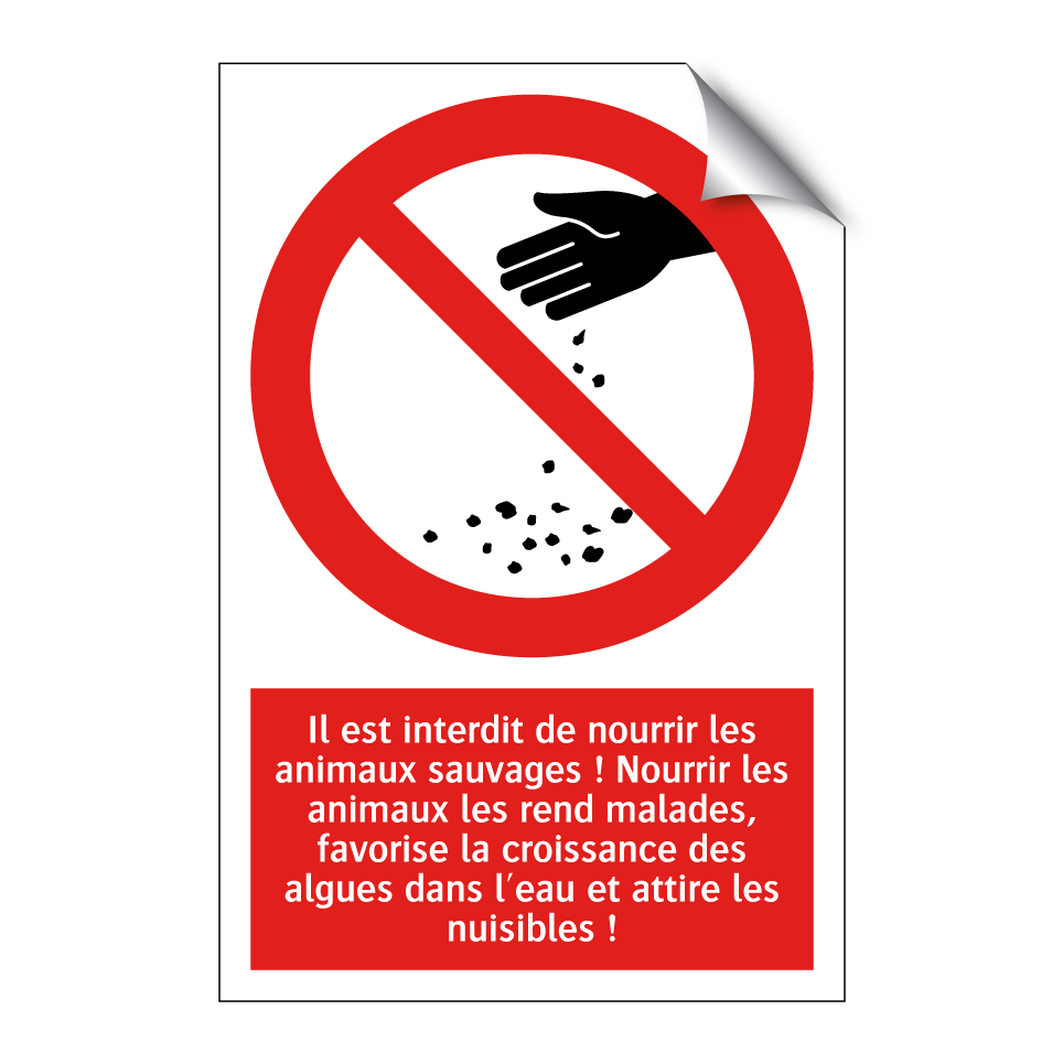 Il est interdit de nourrir les animaux sauvages ! Nourrir les animaux les rend malades, favorise la croissance des algues dans l'eau et attire les nuisibles !