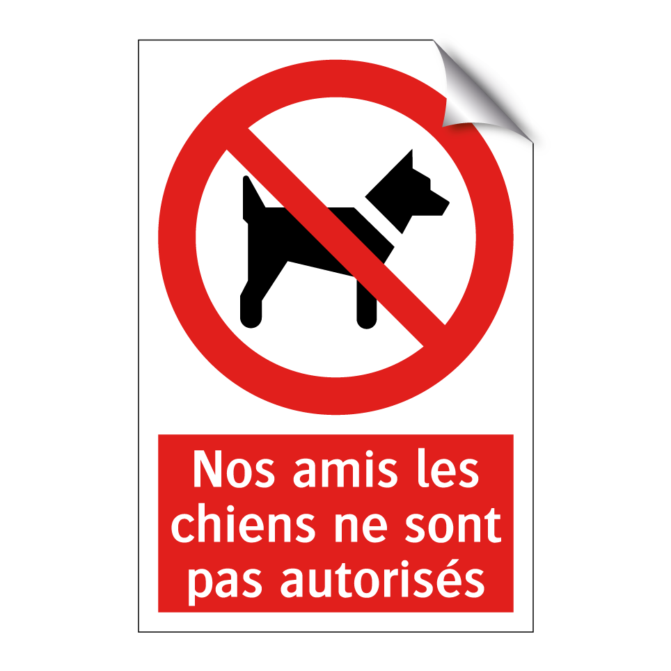 Nos amis les chiens ne sont pas autorisés