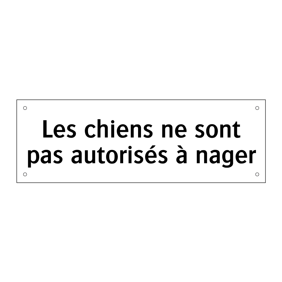Les chiens ne sont pas autorisés à nager