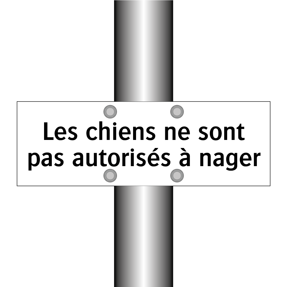 Les chiens ne sont pas autorisés à nager